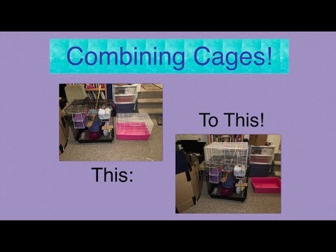 Combing Smaller Cages To Create A Large One