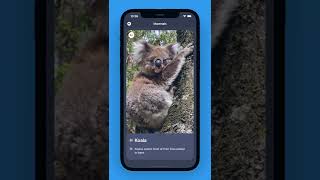 #1 Animal Sounds App screenshot 1