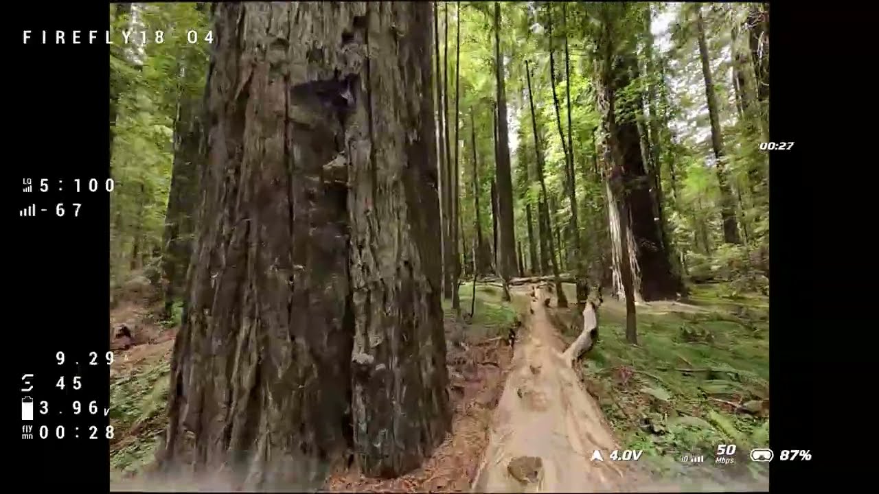 Советы по ориентированию в незнакомой местности