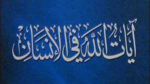 من سورة المائدة/ حسن بن بكر بن حمادي ( يا أيها الذين آمنوا عليكم أنفسكم)