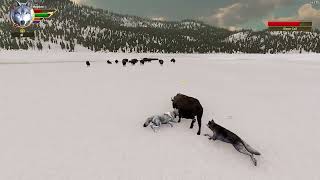 WolfQuest AE - Failed Bison Hunt (With Spotify)