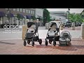 Chicco corso le luxury modular travel system  demo