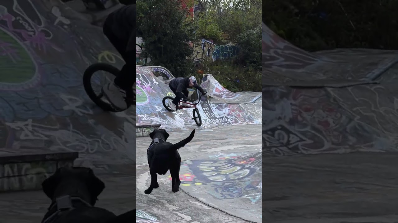 Making the impossible look effortless  Is there anything Kriss Kyle can’t do?