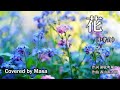 【COVER】花/中孝介 covered by Masa #247