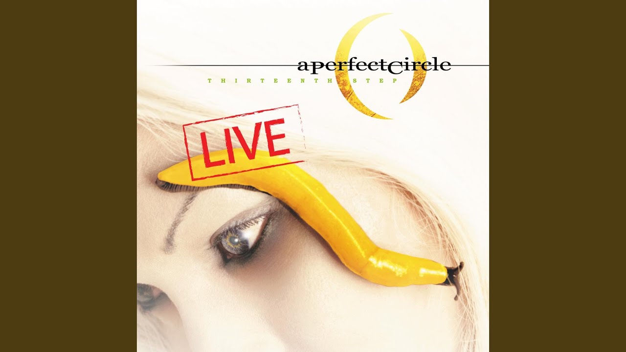 The Nurse Who Loved Me (Live)