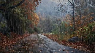 Autumn Rain Symphony: A Journey Down the Forest Path by Rainfall Serenity 354 views 3 weeks ago 10 hours