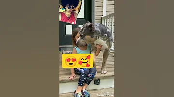 أغاني خطوه اجباري 