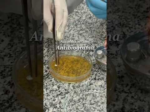 Aula prática de Microbiologia no Coltec UFMG