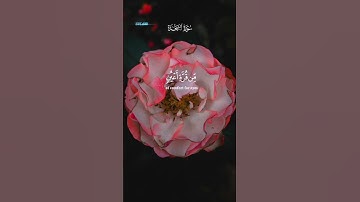 سورة السجدة 🌸  رعد الكردي 🌸  #quran #قرآن #explore #islam #islamicstatus #قران_كريم #islamic #fypシ