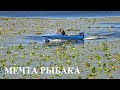 Мечта рыбака. Дамба Каневского водохранилища. (Процив - Кийлов)