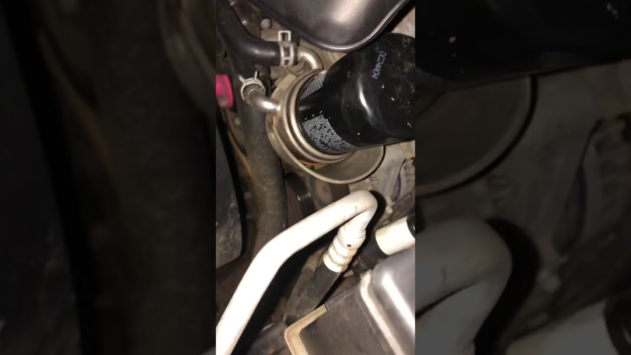 squealing noise YouTube