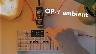 music for when its raining and they announce another lockdown | OP-1 Ambient