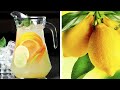 Лучший освежающий напиток - домашний лимонад с мятой, апельсином и лимоном
