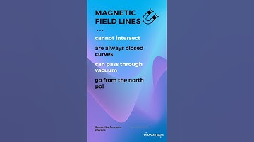 Properties of Magnetic Field Lines