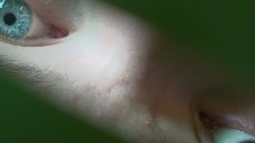 Recursion (2025) Comedy Short Film