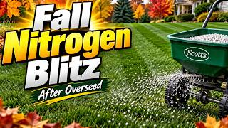 Fall Nitrogen Blitz After Fall Overseeding - It's A No-Brainer!