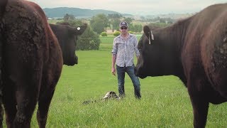 Waipawa Butchery Brand Story
