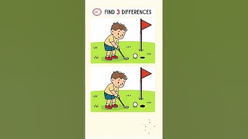 Spot the Differences 👀 A Bit Tricky!