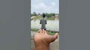 Multifunctionele en nuttige items in het moderne leven #korte films #grappig #komedie #entertainment