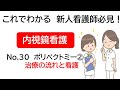 これでわかる　新人看護師必見！　内視鏡看護　介助No.30　ポリペクトミー②　治療の流れと看護