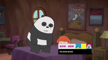 CN Dimensional - NOW - NEW We Bare Bears - Inhalers