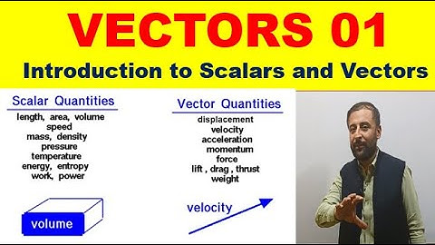Introduction to Scalars and Vectors || VECTORS 01 || in URDU/HINDI