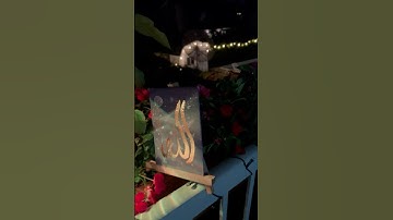 #قرآن #قران_كريم #تلاوة_خاشعة #تلاوة_هادئة #tilawat #راحة_نفسية