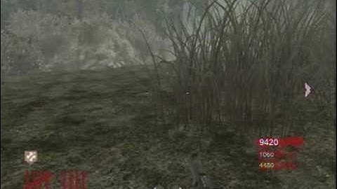 Call of Duty 5 Solo or Multiplayer Glitch Out of the Map Shi No Numa NO MODS