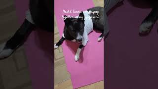 Daol &amp; Tannie are playing together on my zyoga mat.