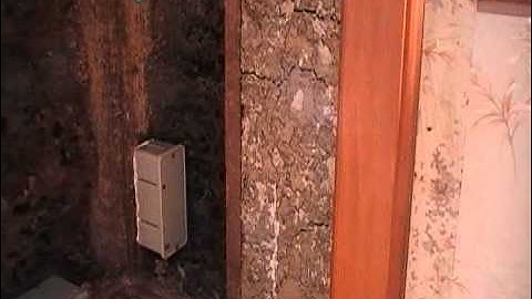 Thermal imaging finding Termites