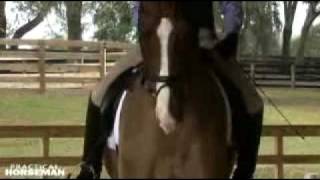 Nancy Smith Improve Suppleness Through Dialogue With Your Horse