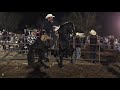 Caballos 🐴 Bailadores En El Cumpleaños De Pimienta