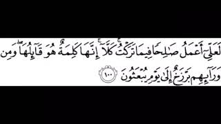 البعاتي للشيخ محمد سيد حاج رحمه الله