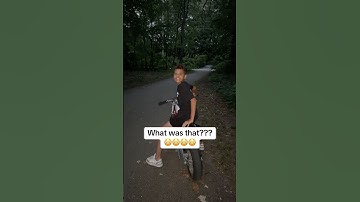 What was THAT in the forest? 😳😳😳