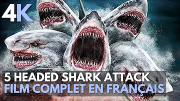 5 headed shark attack | Nanar | 4K | Film complet en français