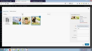 Elasti Responsive Carousel Wordpress Plugin - Installation Video
