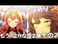 ウマ娘 ナリタブライアン大粒の涙を流す もうなかないよ集 その2 ウマ娘 ナリタブライアン大粒の涙を流す もうなかないよ集 その2