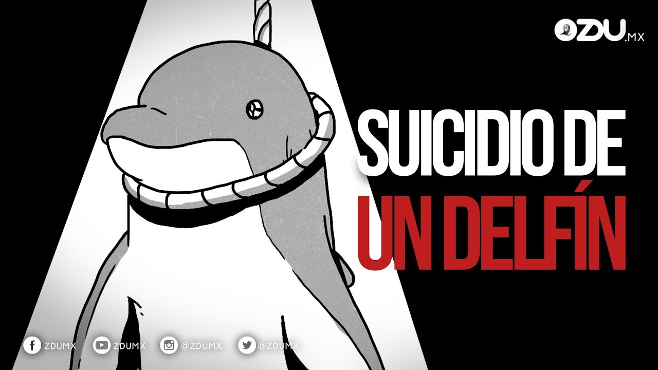 ¿Por qué se suicidó FLIPPER el delfín? - YouTube