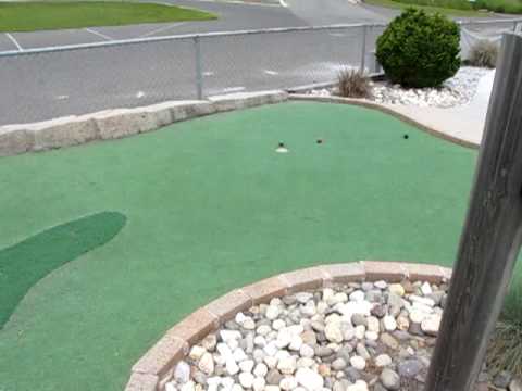 Golf Field, Foxy Cleo Golfer and Lion Woods playing miniature golf