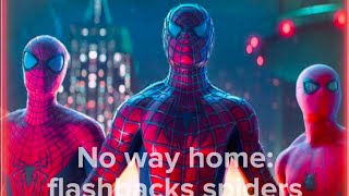 Нет Пути Домой: Флэшбеки Паучков. No Way Home: Flashbacks Spiders.