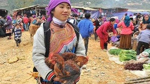 Chợ phiên Cán Cấu - Si Ma Cai - Chợ Trâu bò lớn nhất miền bắc