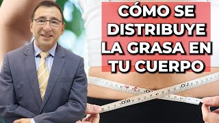 Descubre Dónde y Cómo se Distribuye la GRASA en tu Cuerpo - Dr. José Alvarado Solís by ViozonMexico 844 views 2 months ago 11 minutes, 24 seconds