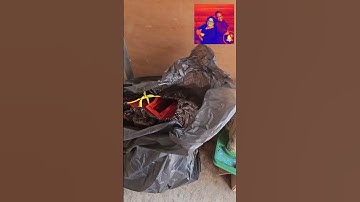 Our New Consignor Is Filling Up The Trailer #onlineauction #shorts