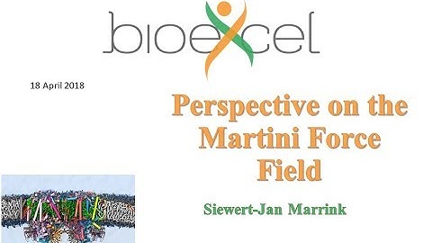 BioExcel Webinar #24: Perspective on the Martini Force Field
