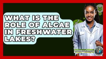 What Is The Role Of Algae In Freshwater Lakes? - Earth Science Answers