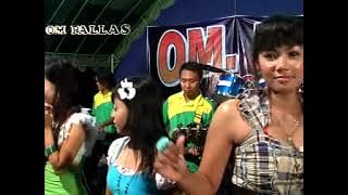 AllArtis Bunga Sedap Malam