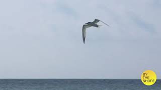 Module 3 Slideshow