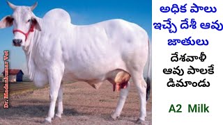 Desi Cow Farming A2 Milk Telugu Dr. Madankumar Vet