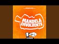 Mandela Envolvente Slowed Mandela Envolvente Slowed