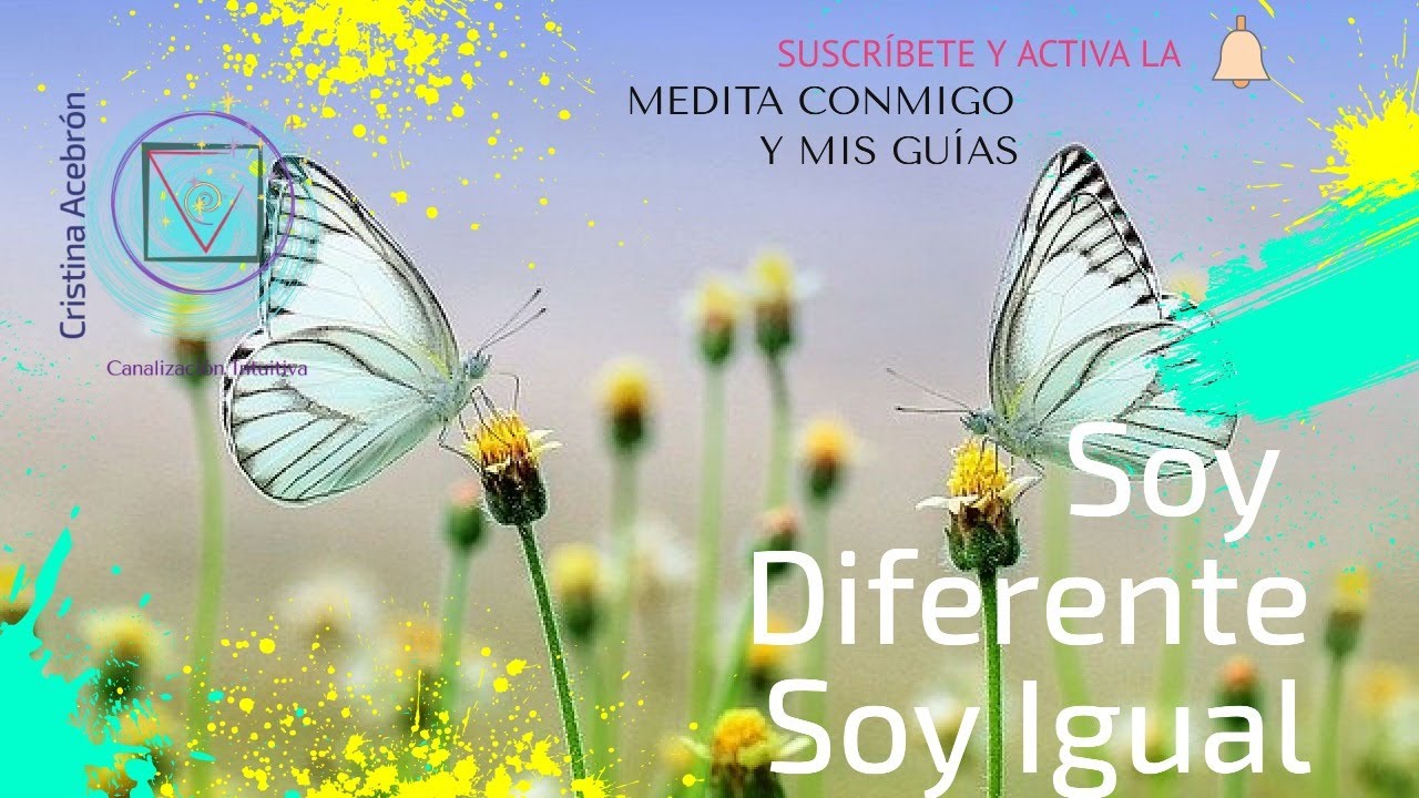 Soy Diferente Soy Igual